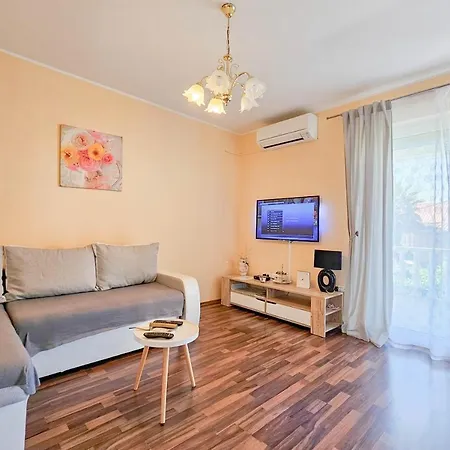 Liam * Novigrad Istria