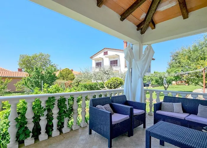 Liam * Novigrad Istria