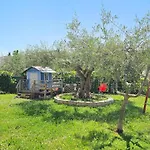 Liam * Novigrad Istria