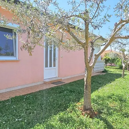 Liam Daire Novigrad Istria