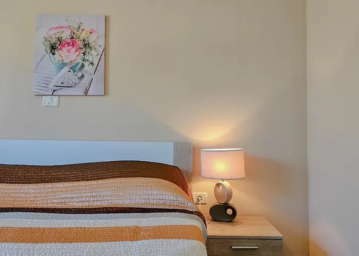 Liam Novigrad Istria