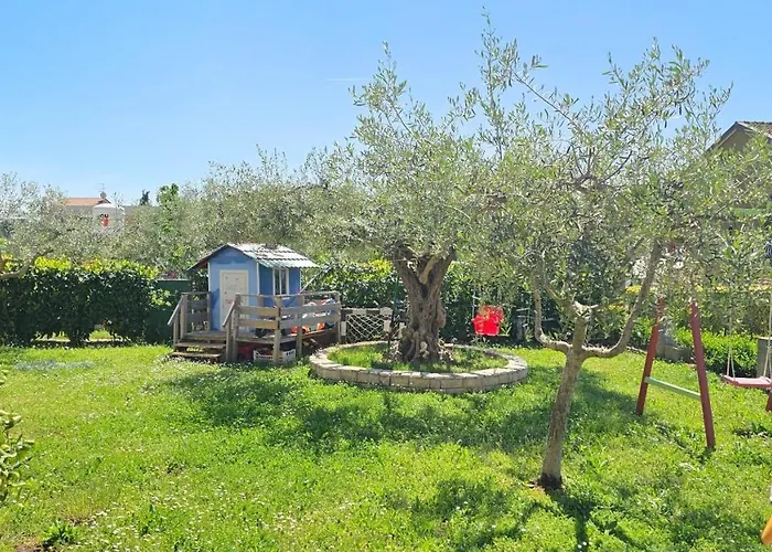 Liam * Novigrad (Istria)